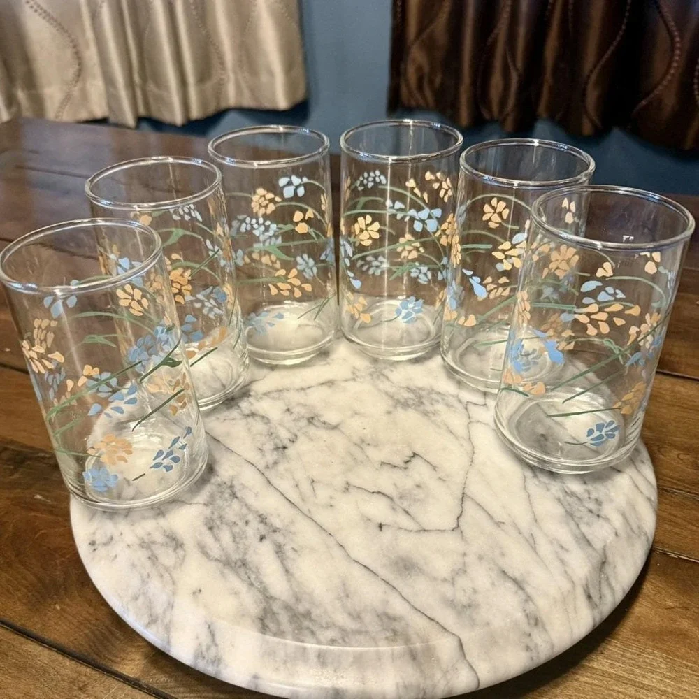 12pc VTG 1950s Mexican Termocrisa Glass Glasses Peach Blue Floral Flowers Mexico